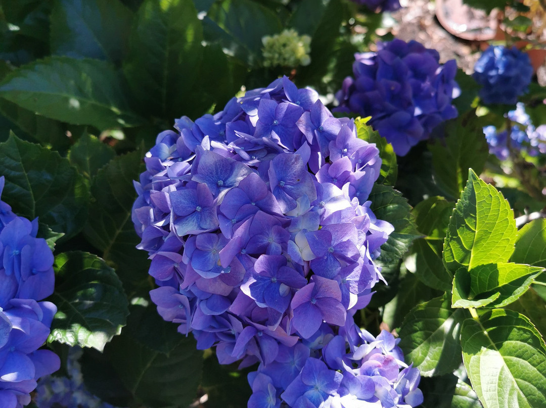 穆尔文庄园乡村酒店主图