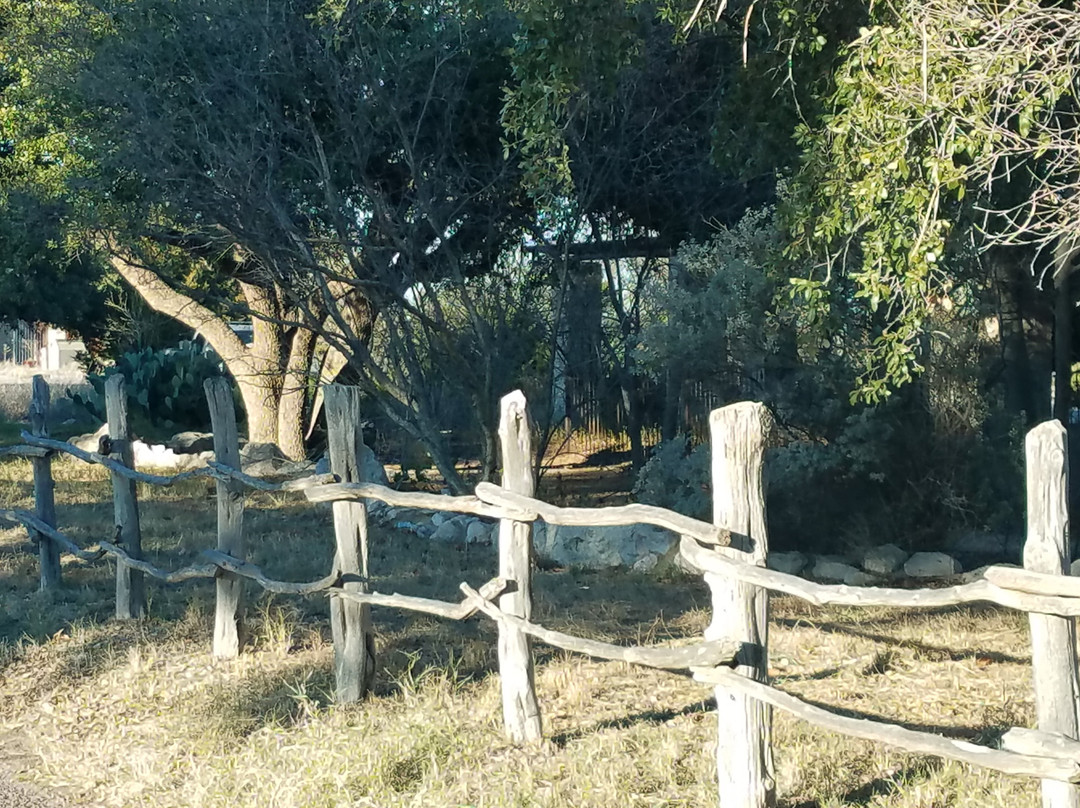 Sibley Nature Center景点图片