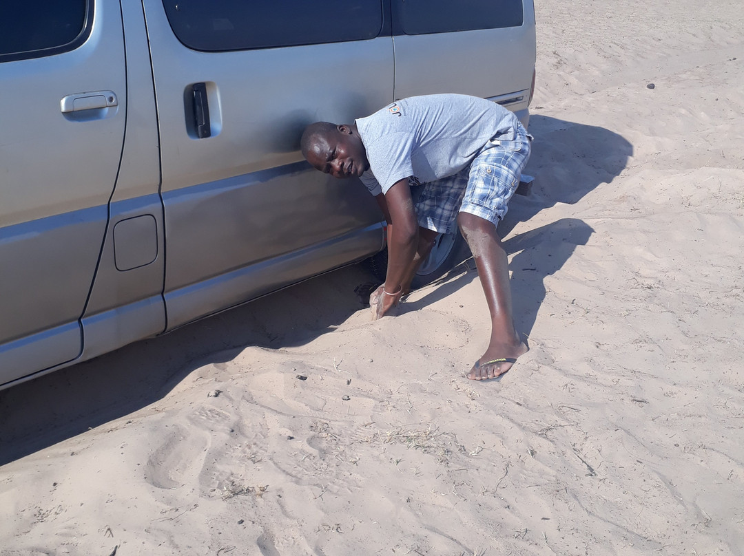 Kafue National Park-Kafue National Park必去景点