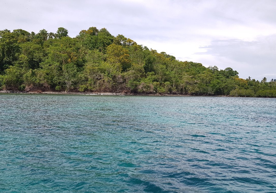 Lembeh Strait景点图片