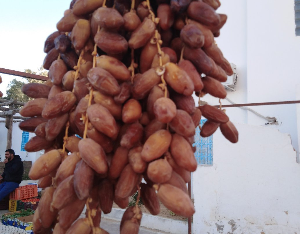 Ste Mini Souk-Houmt Souk必去景点