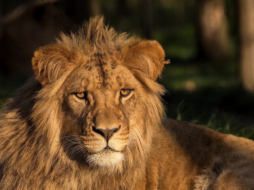 Zoo Brno