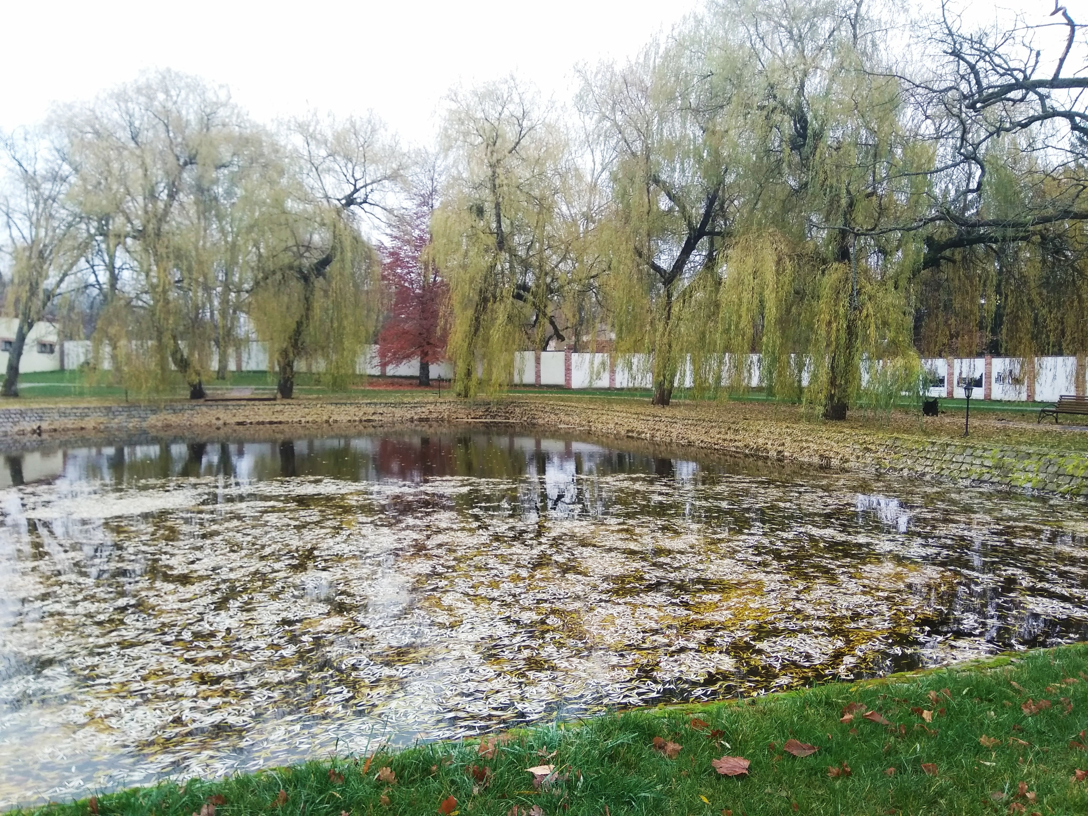 Langendorf Castle Estate-浴室