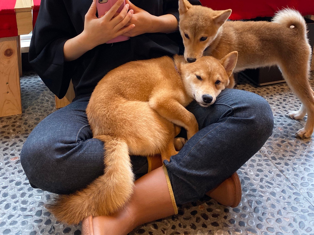 Cafe Ryoma-京都市必去景点