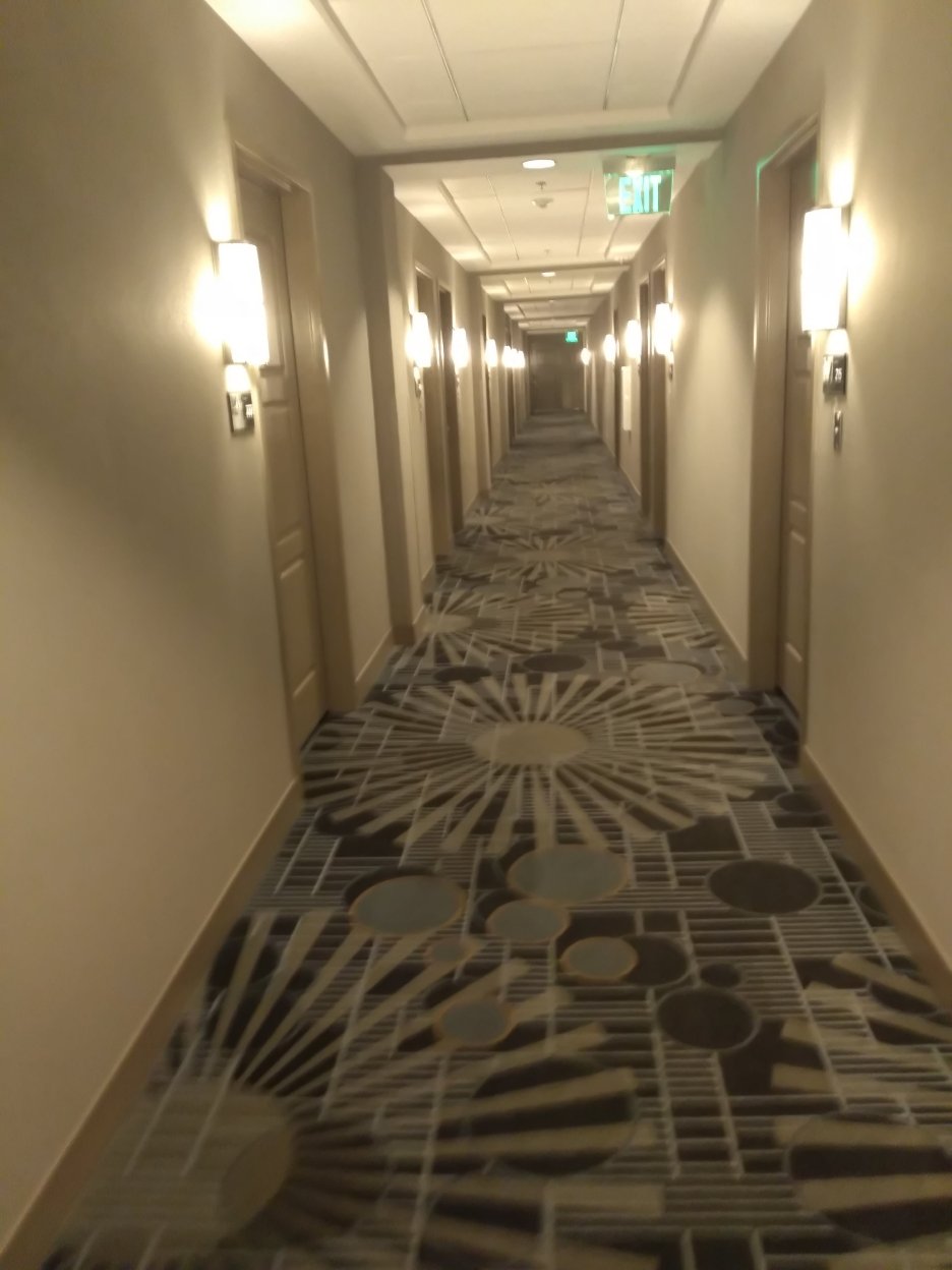 教堂山/卡尔伯罗欢朋酒店及套房-浴室