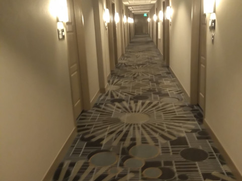 教堂山/卡尔伯罗欢朋酒店及套房主图