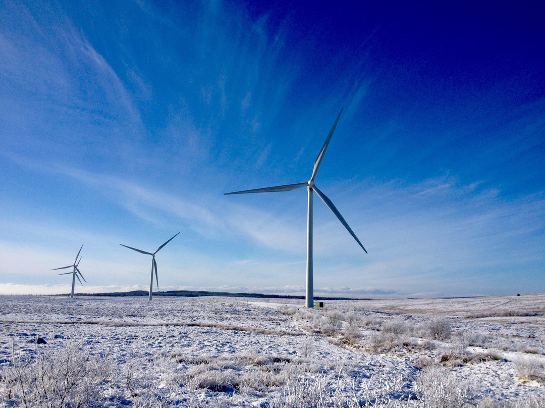 Whitelee Windfarm-Eaglesham必去景点