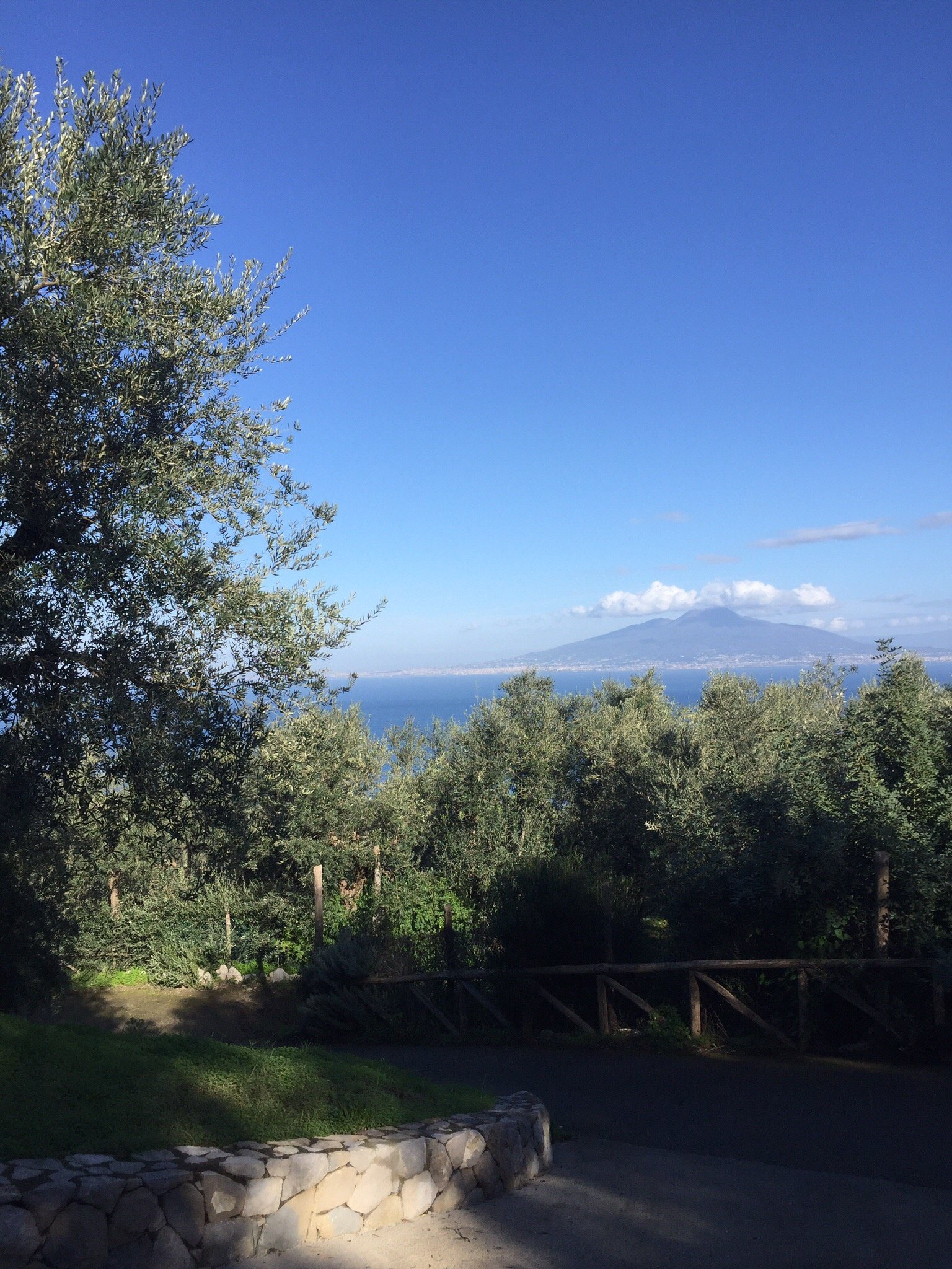 Agriturismo "Il Giardino di Vigliano"-官方