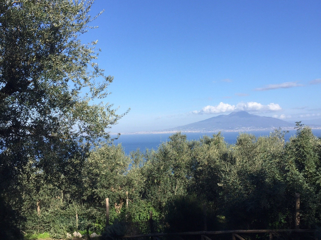Agriturismo "Il Giardino di Vigliano"主图