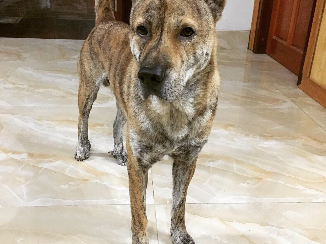 Gia Bao Homestay - Cao Bang主图