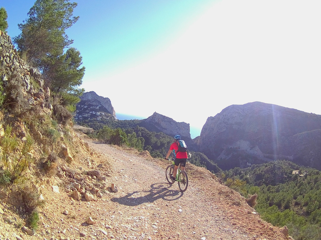 Snakebite MTB Adventures景点图片