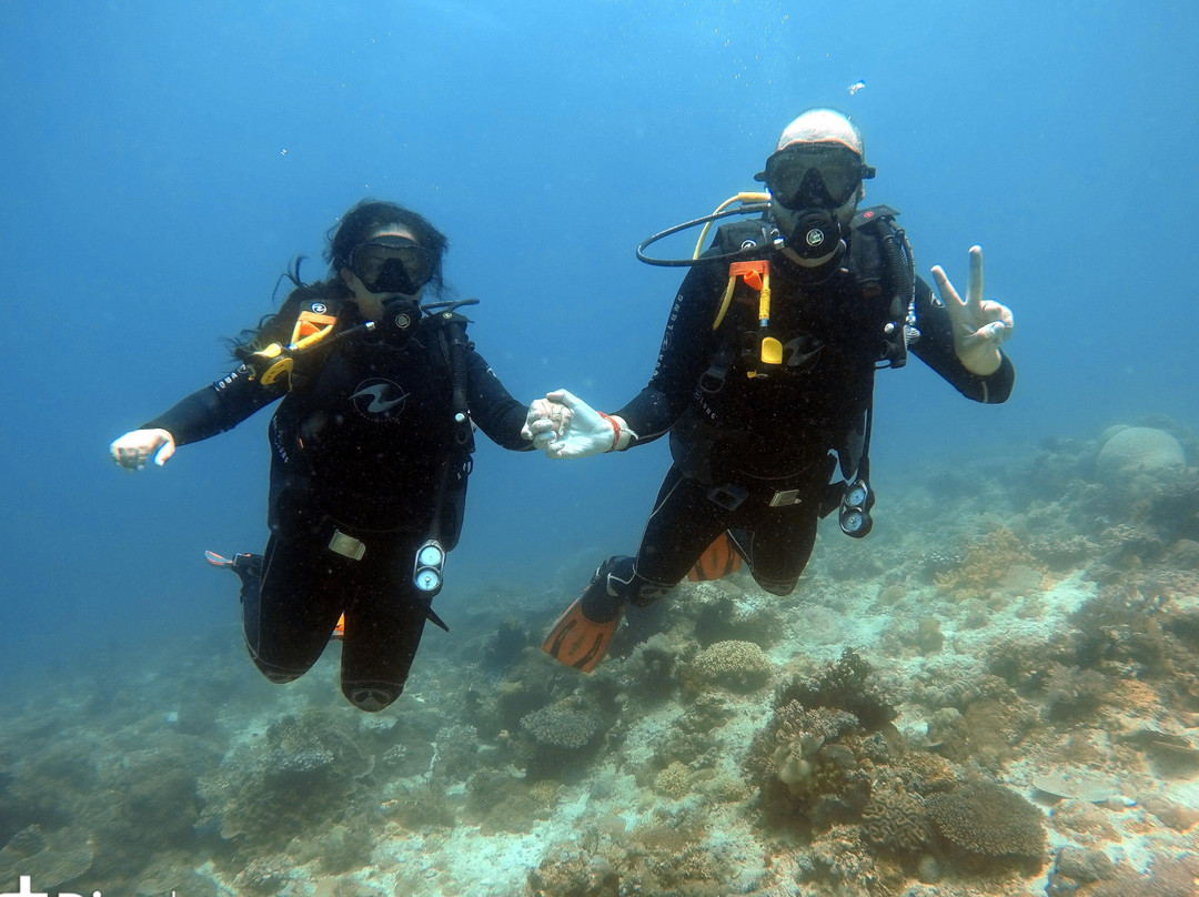 Big Fins Dive Center-San Jacinto必去景点
