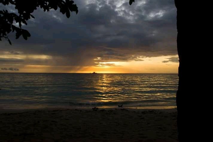 White Haven Resort-官方