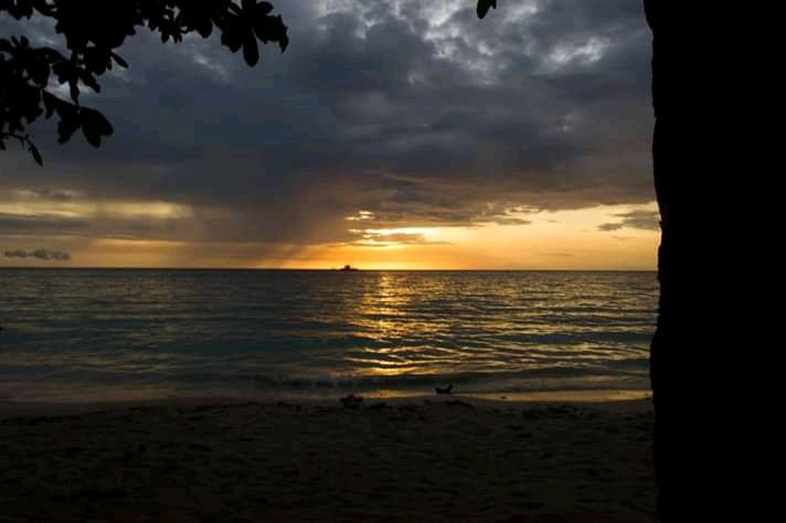 White Haven Resort主图