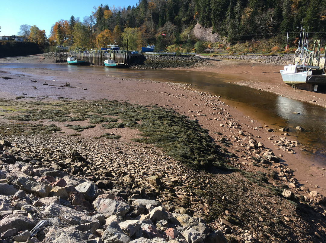 Harbour Park-St. Martins必去景点