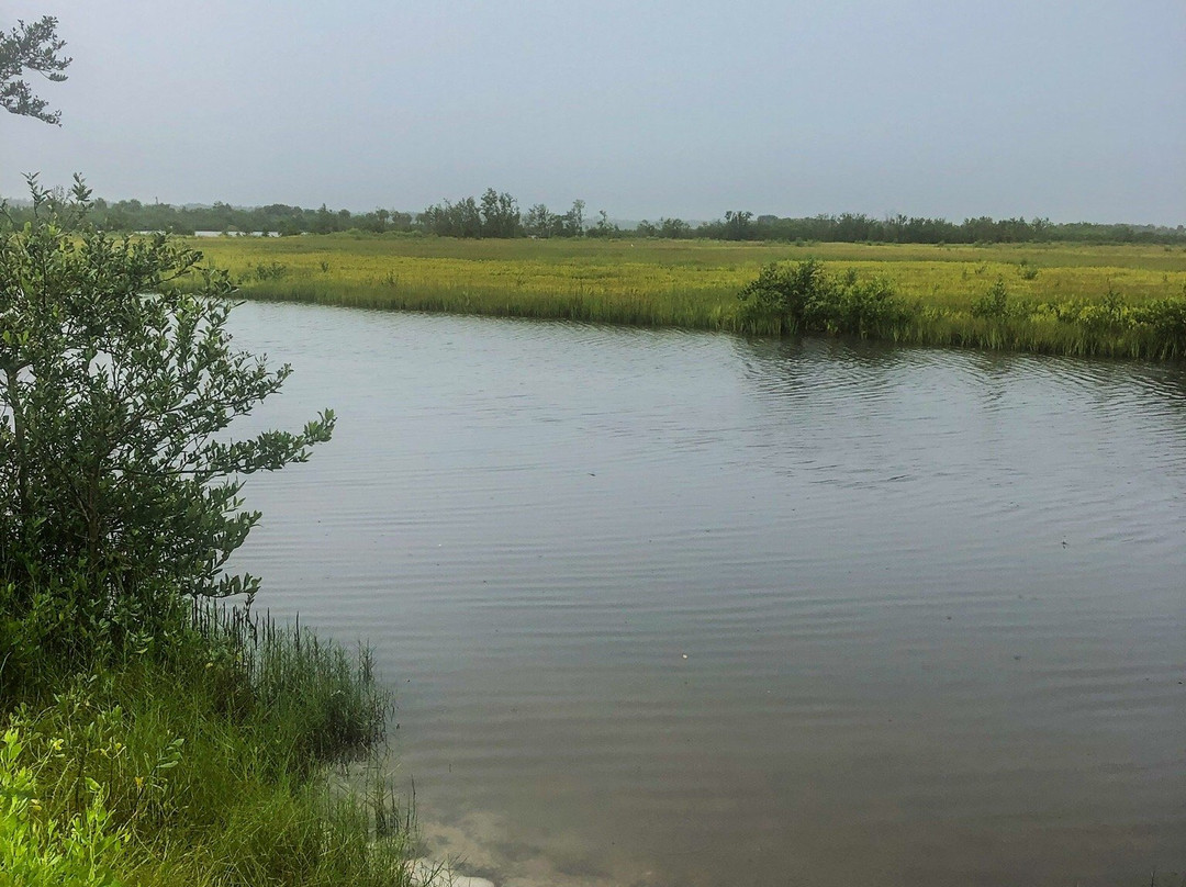 North Peninsula State Park-Flagler Beach必去景点