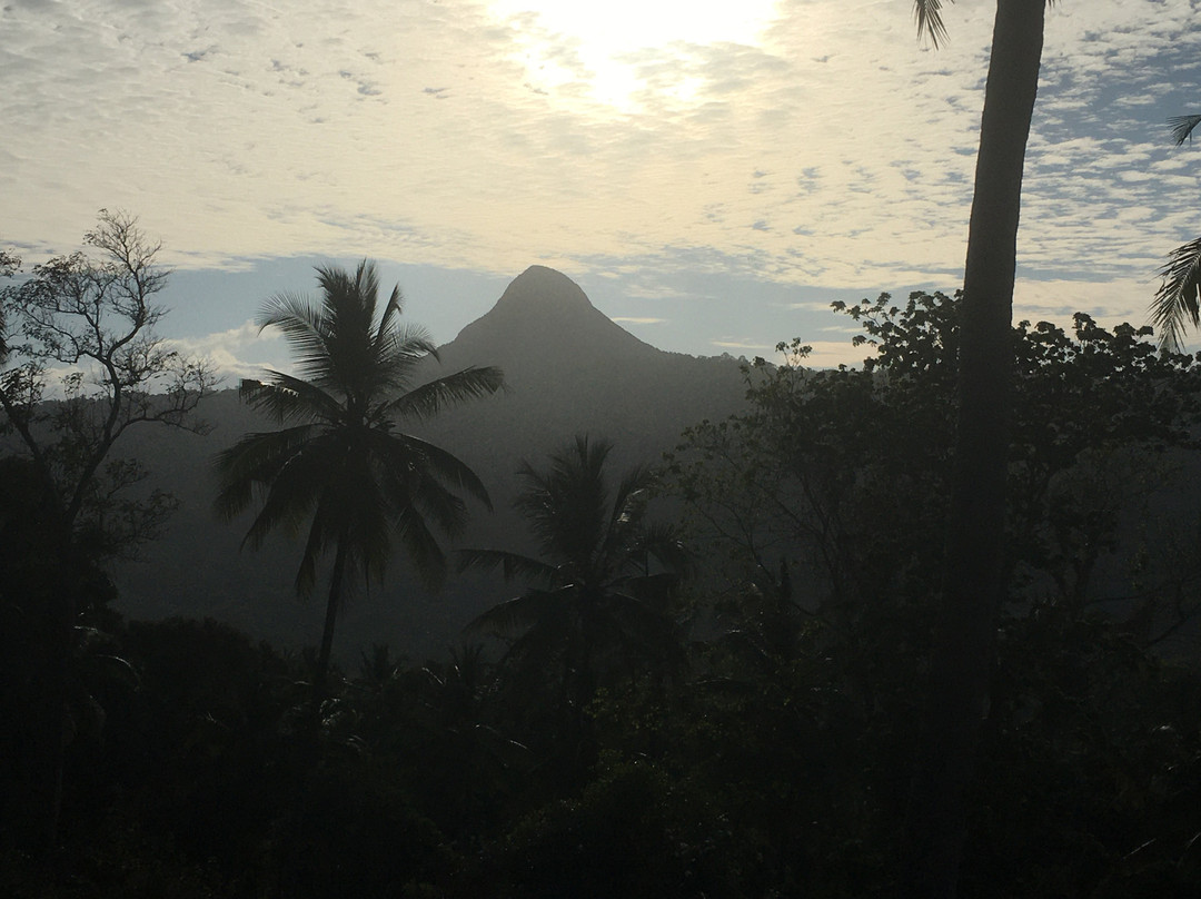 Mont Choungui-Chirongui必去景点