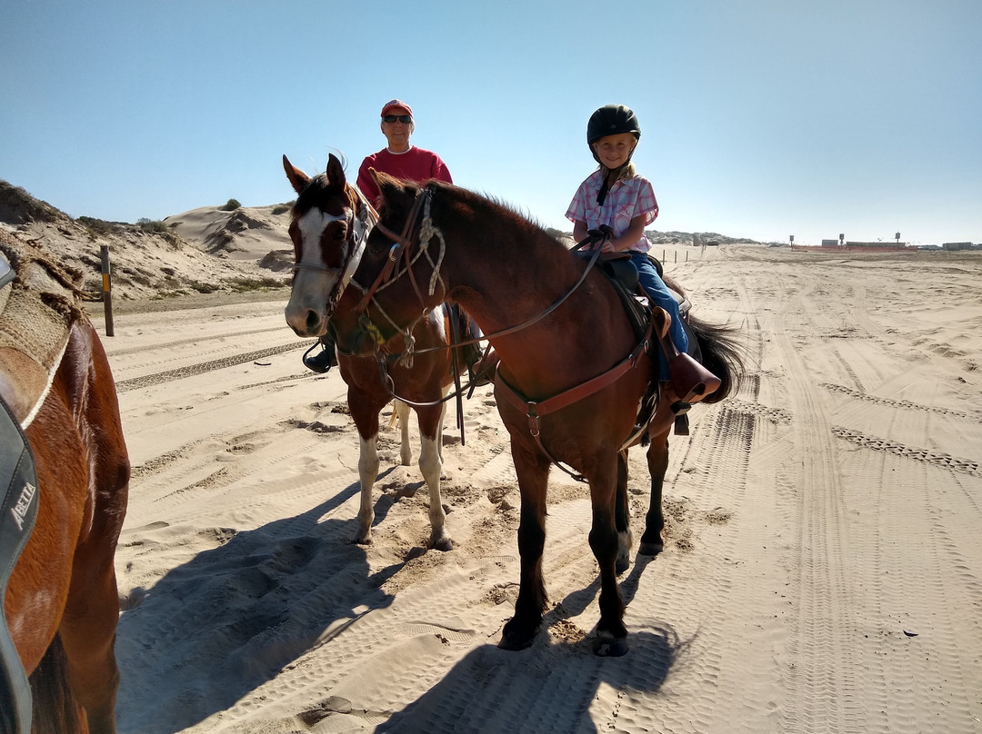 Pacific Dunes Ranch Riding Stables景点图片