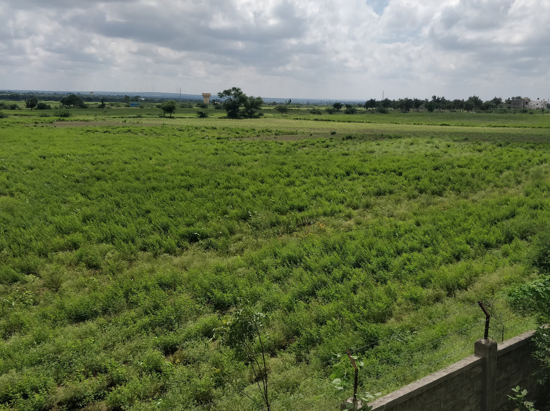 Sabala Heritage Home主图