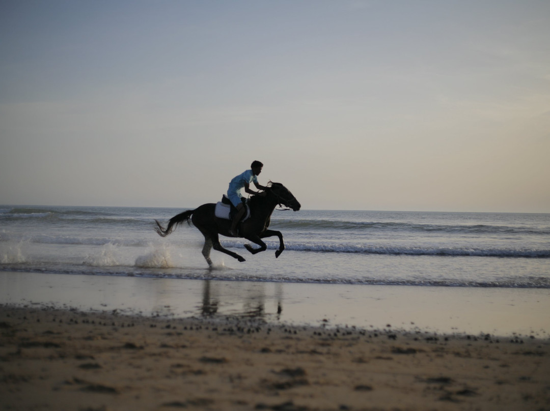 Sidi Kaouki Smaylo Surf School-Sidi Kaouki必去景点