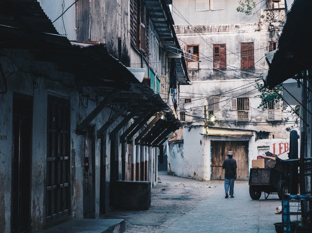 Tanzania Serengeti Safaris-桑给巴尔岛必去景点