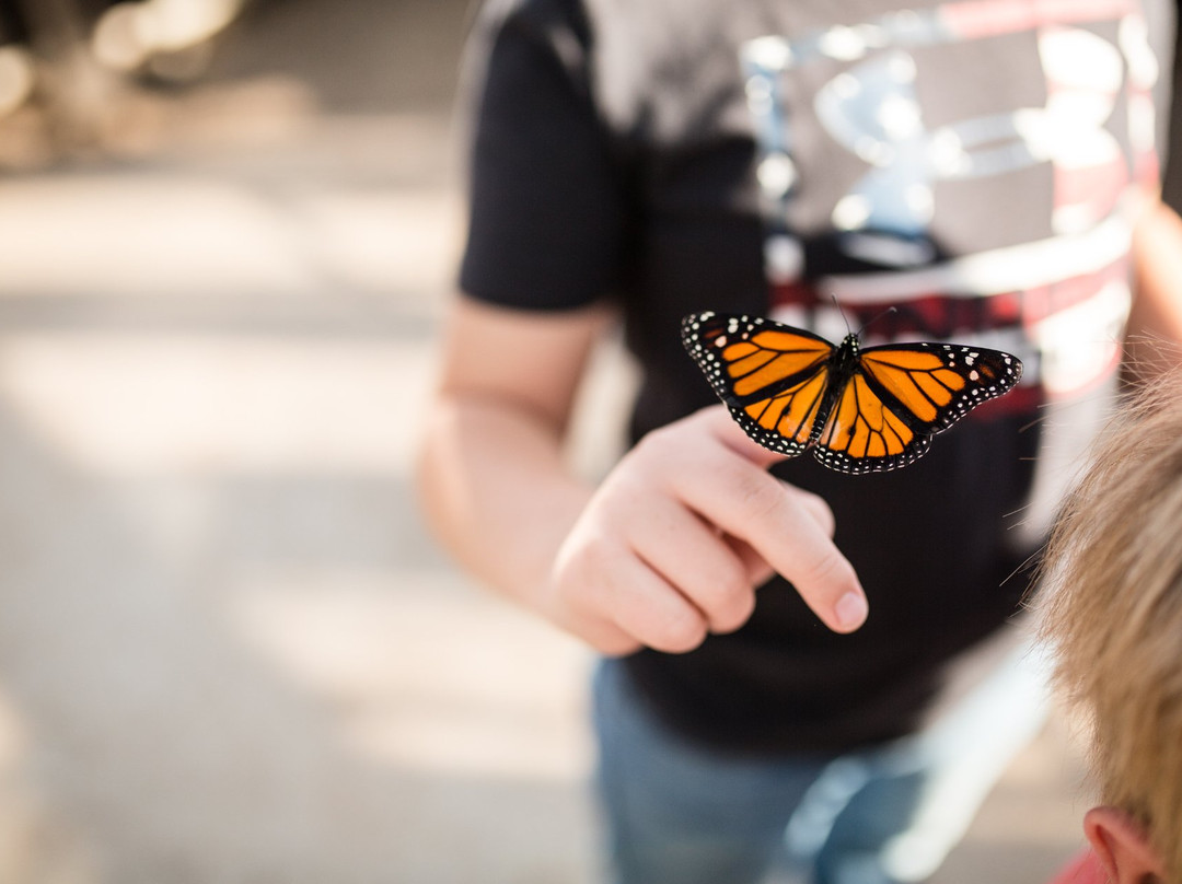 Gardens on Spring Creek-科林斯堡必去景点