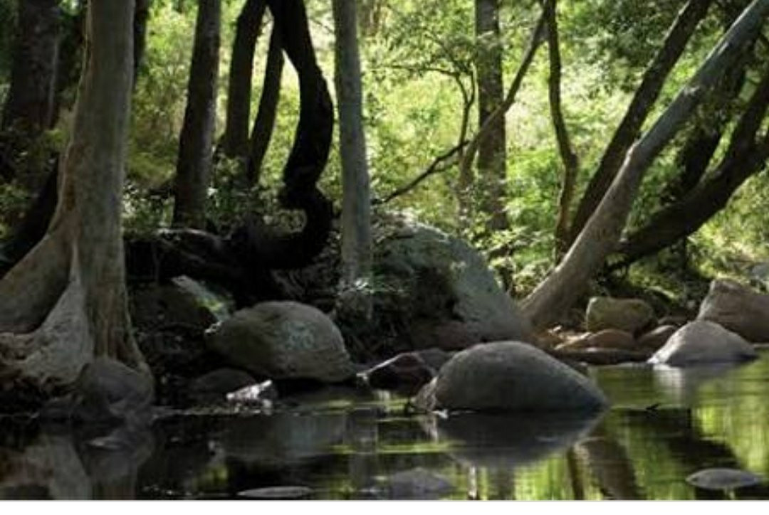 Chinnar Wildlife Sanctuary-慕那尔必去景点