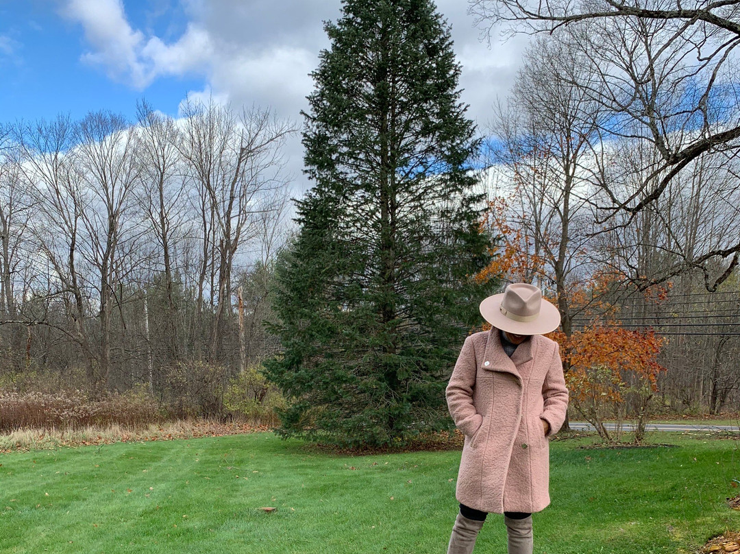 Robert Frost Stone House Museum-Shaftsbury必去景点