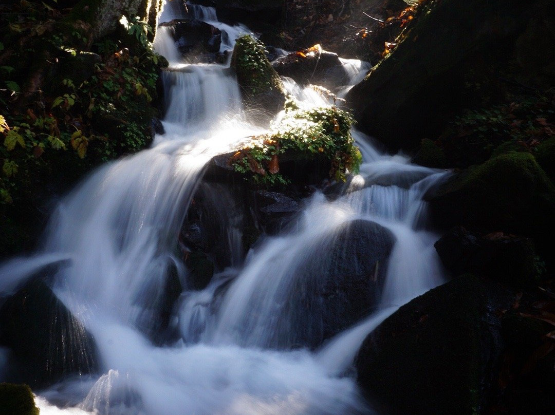 Midama Futoson-津南町必去景点