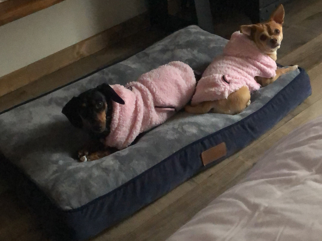 南北运动之家酒店 - 仅供成人入住主图