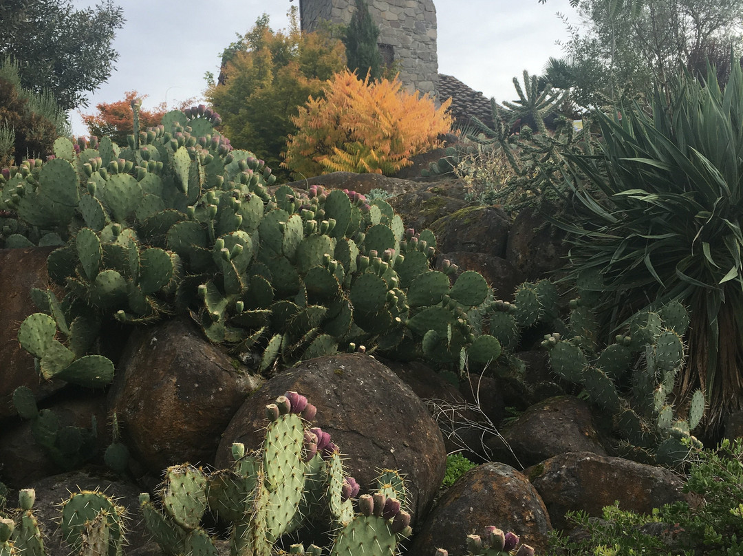 Villa Catalana Cellars-Oregon City必去景点