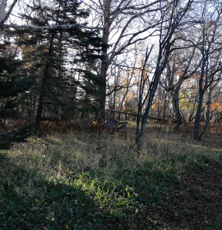 Cape Aikappu-厚岸町必去景点