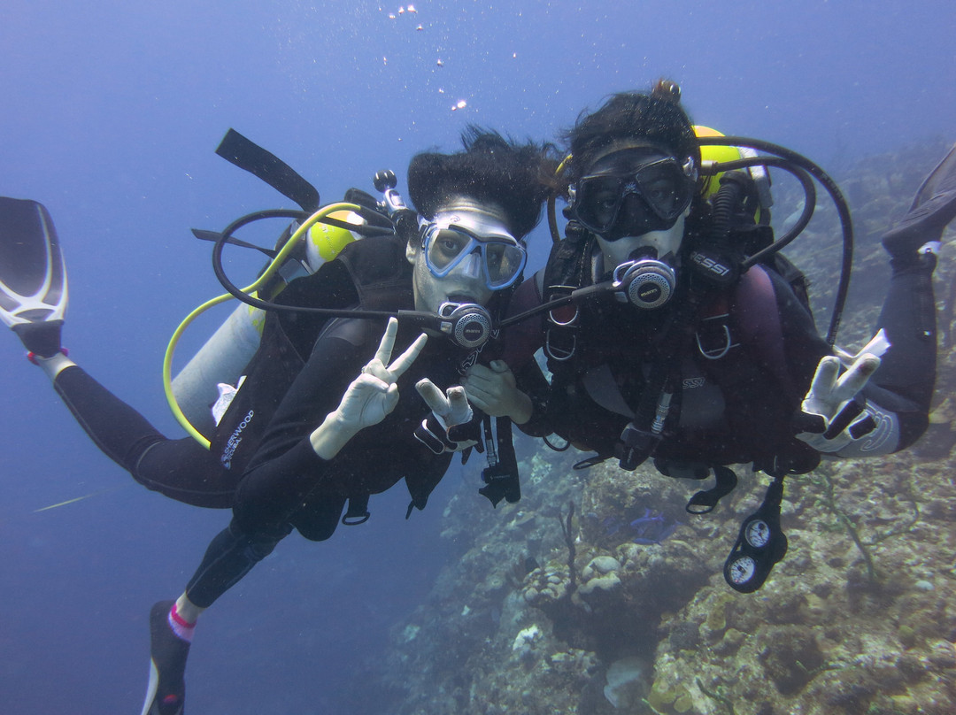 Maria La Gorda主图