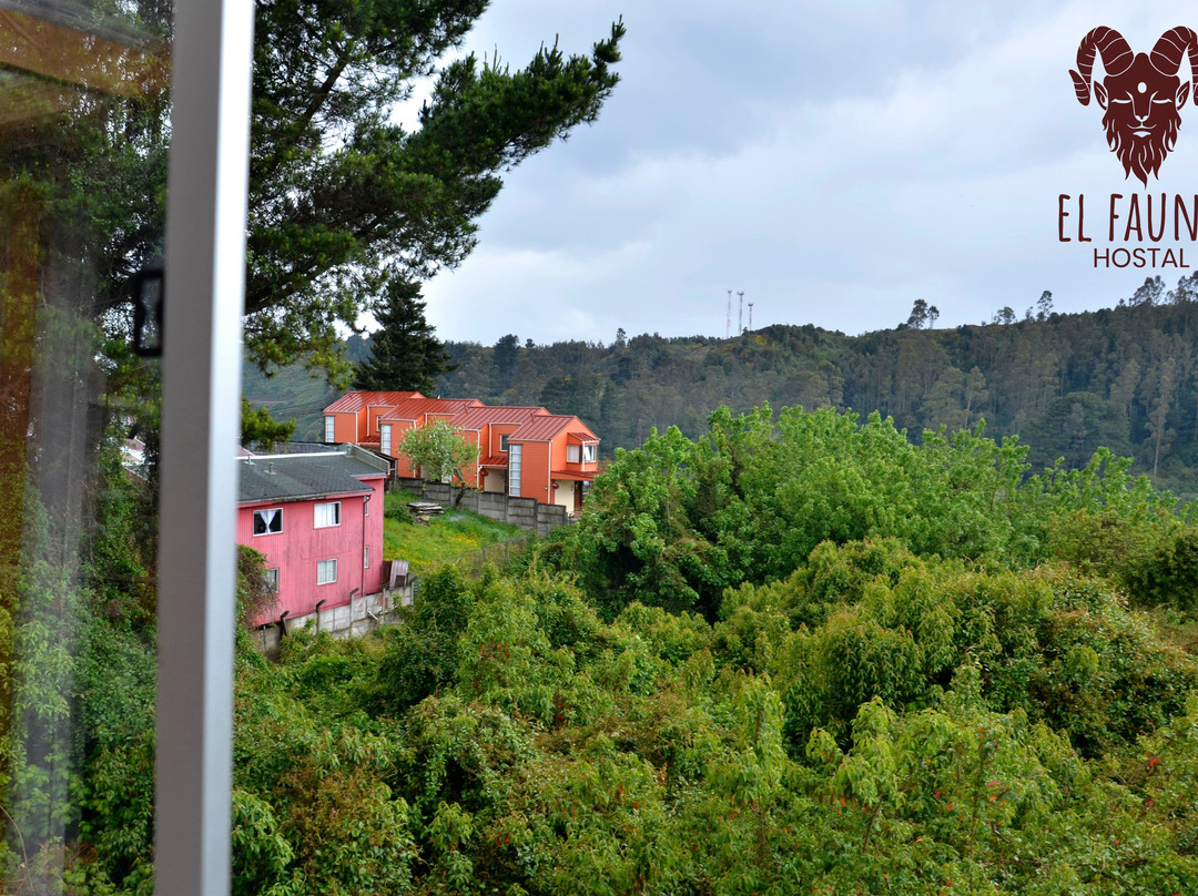 Hostal El Fauno主图