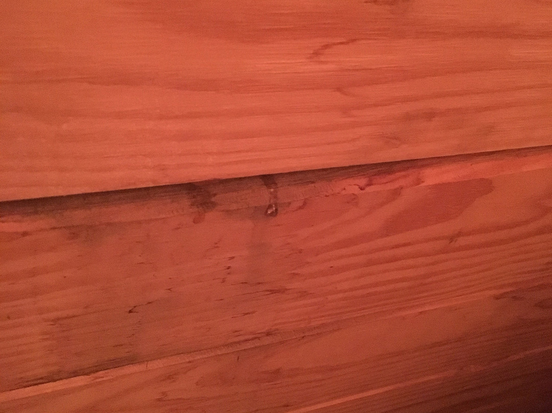 Hillsborough B&B主图