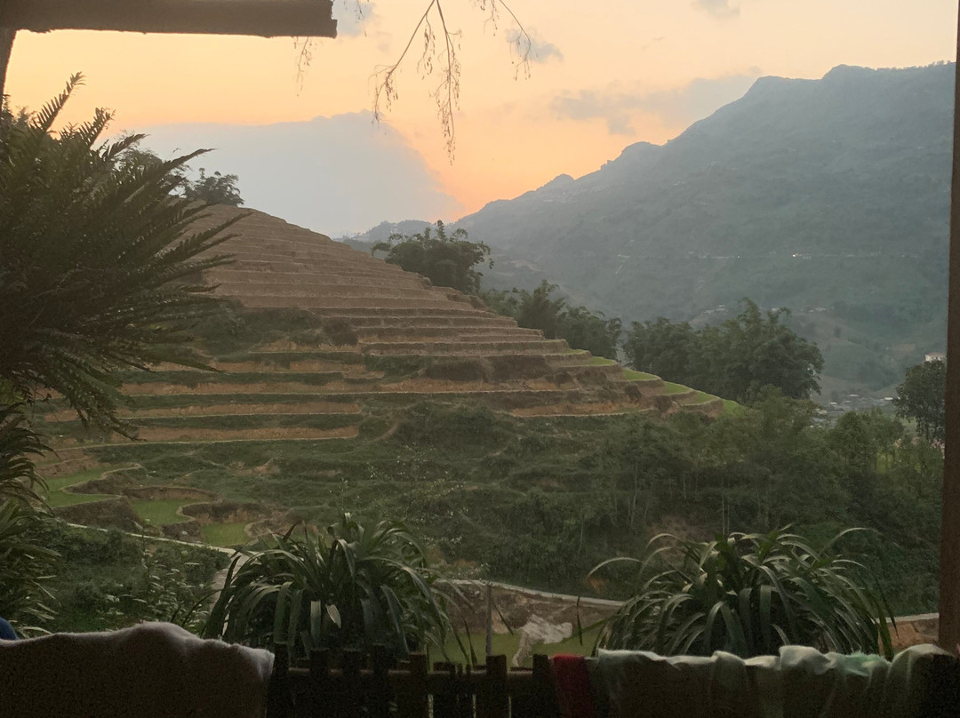 Sapa Big Tree Hmong Homestay主图