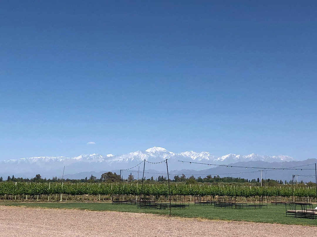 Don Manuel Villafañe Bodega-Maipu必去景点