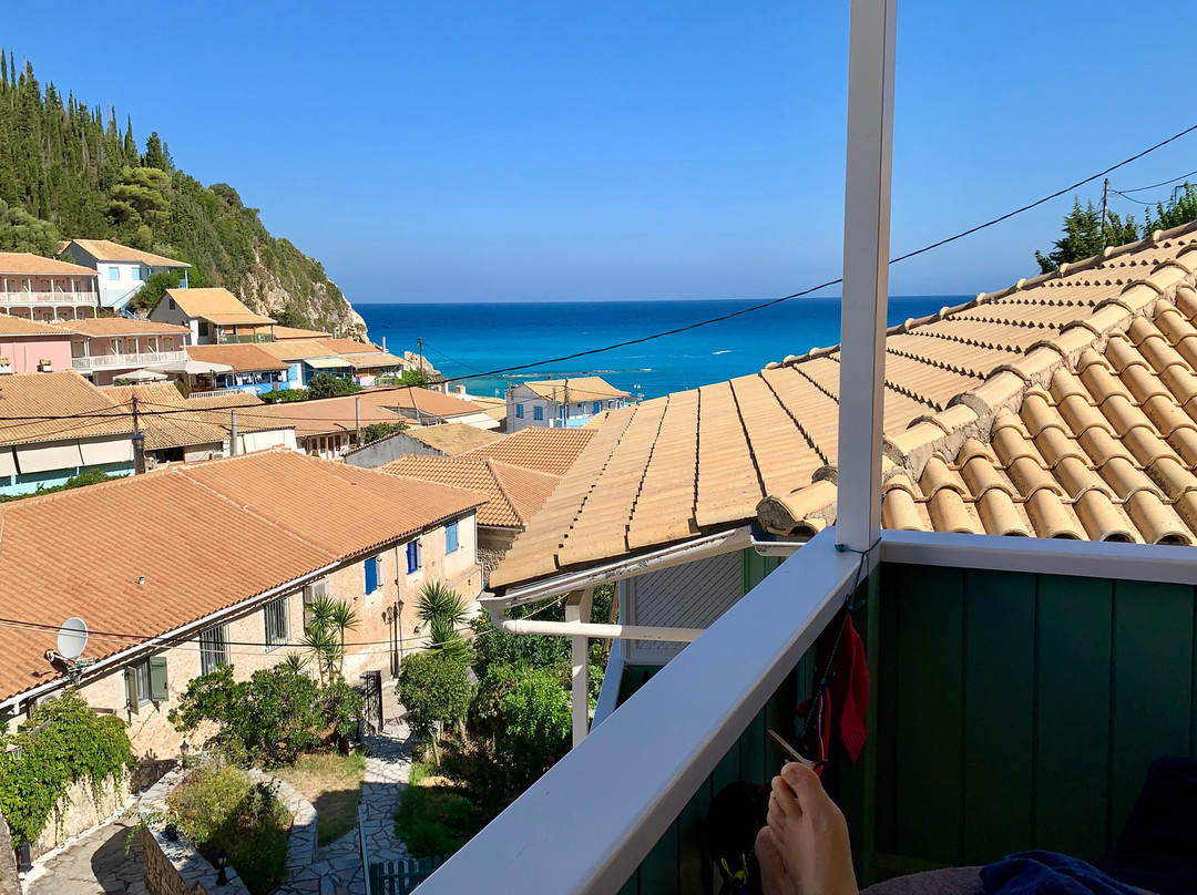 Olive Tree Hotel主图