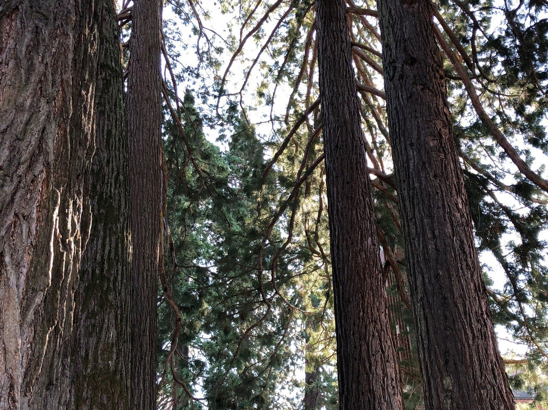 Verboort Sausage & Kraut Festival-Forest Grove必去景点