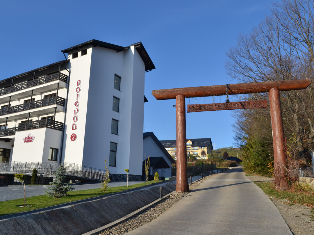 Hotel Voievod主图