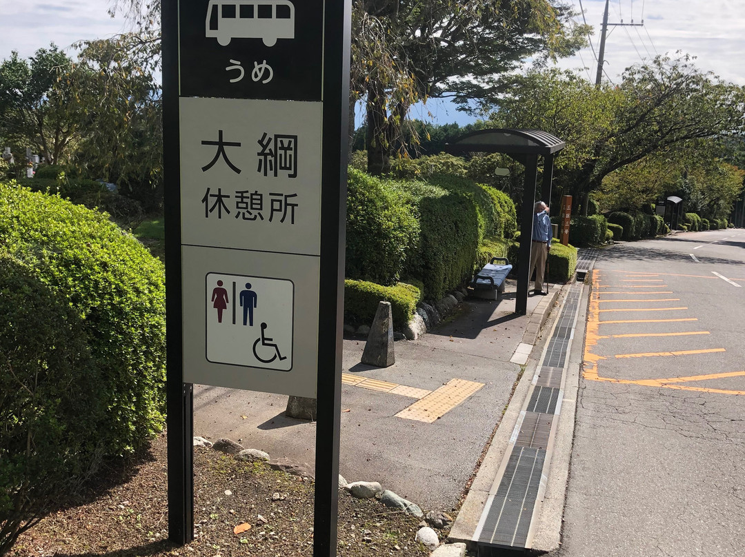 Fuji Reien Cemetry景点图片
