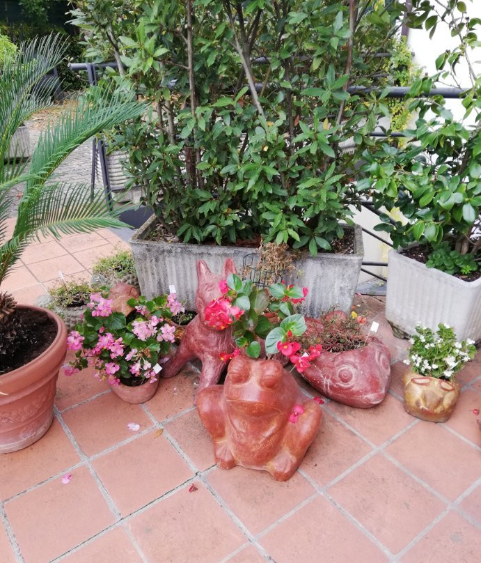 Hotel Restaurant Vecchio Forno主图