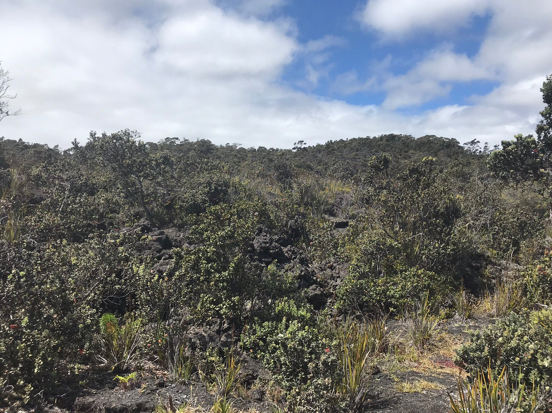 Pu'u Huluhulu trail-夏威夷火山国家公园必去景点