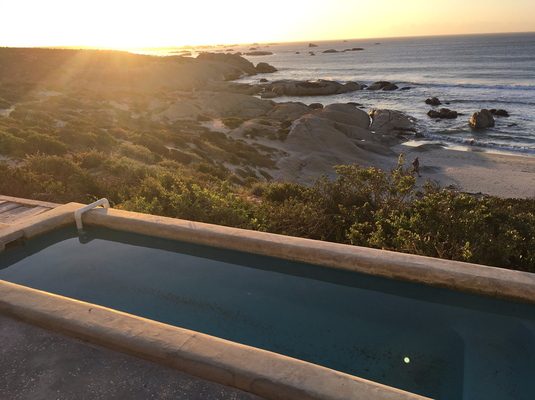 The Oystercatcher’s Haven主图