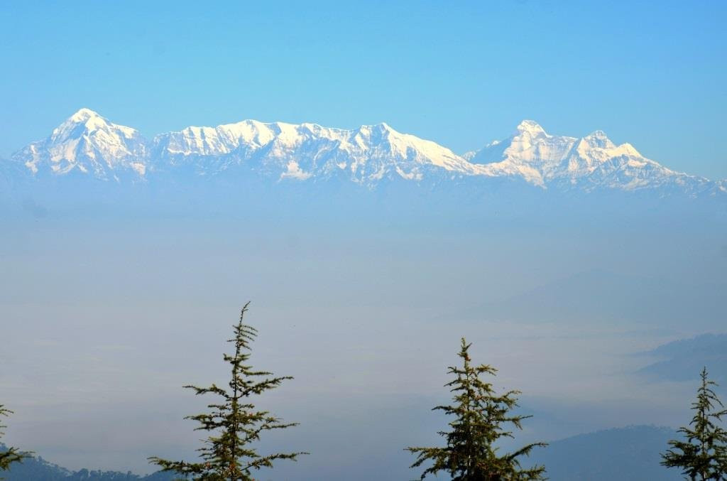 Homfortable Loshgyani主图