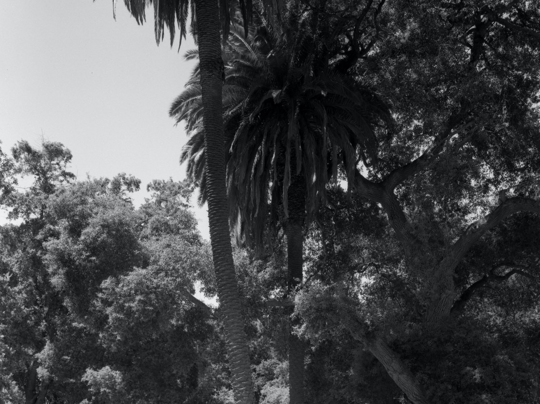 Arden Helena Modjeska Historic House and Gardens-莱克福里斯特必去景点