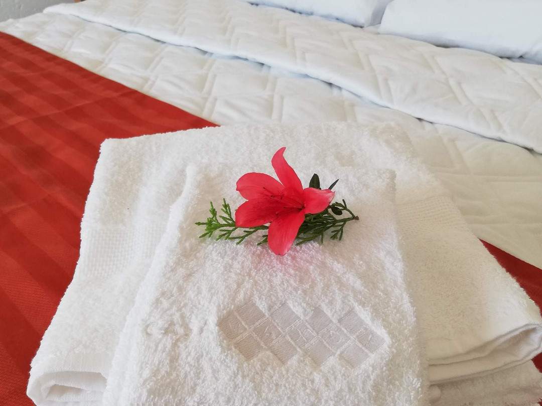 Hacienda Maxda主图