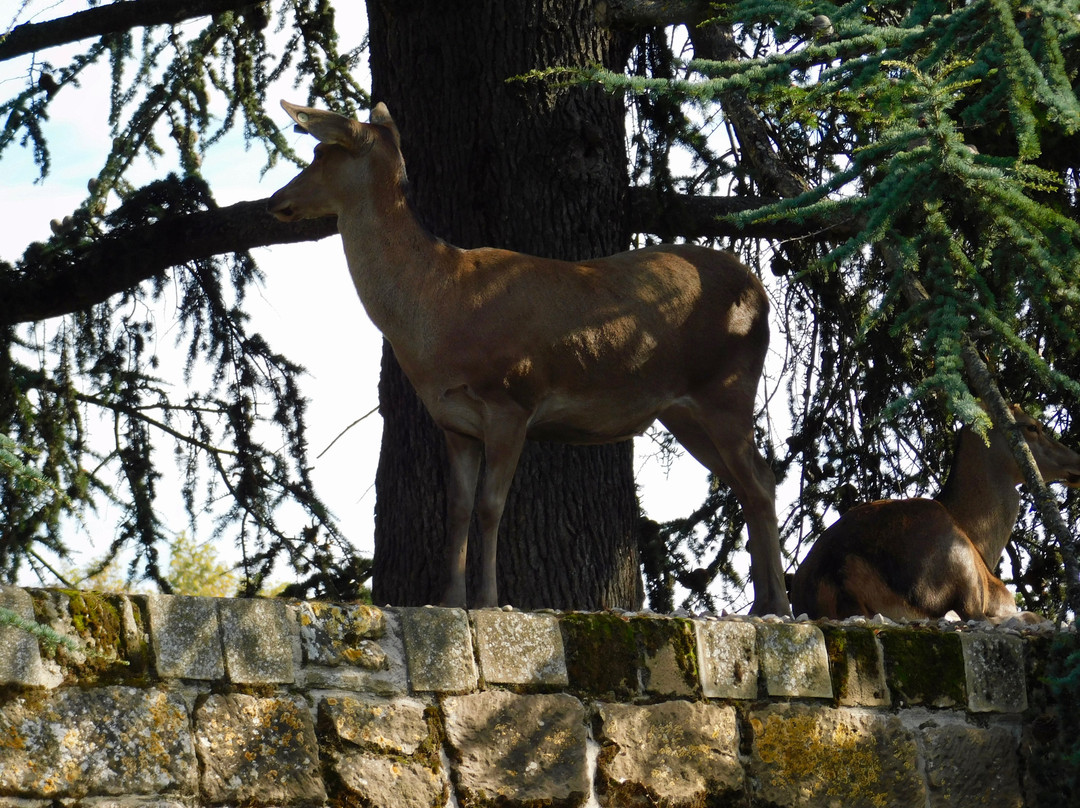 Parque de La Taconera-潘普洛纳必去景点