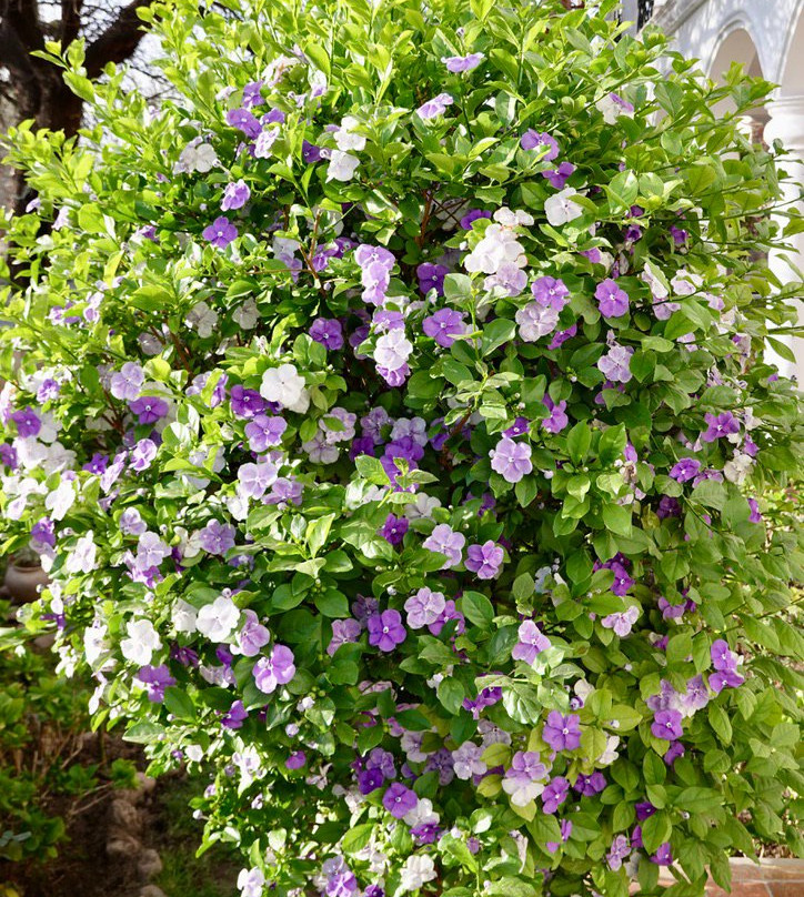 Hotel Portal del Santo Salta Cafayate主图