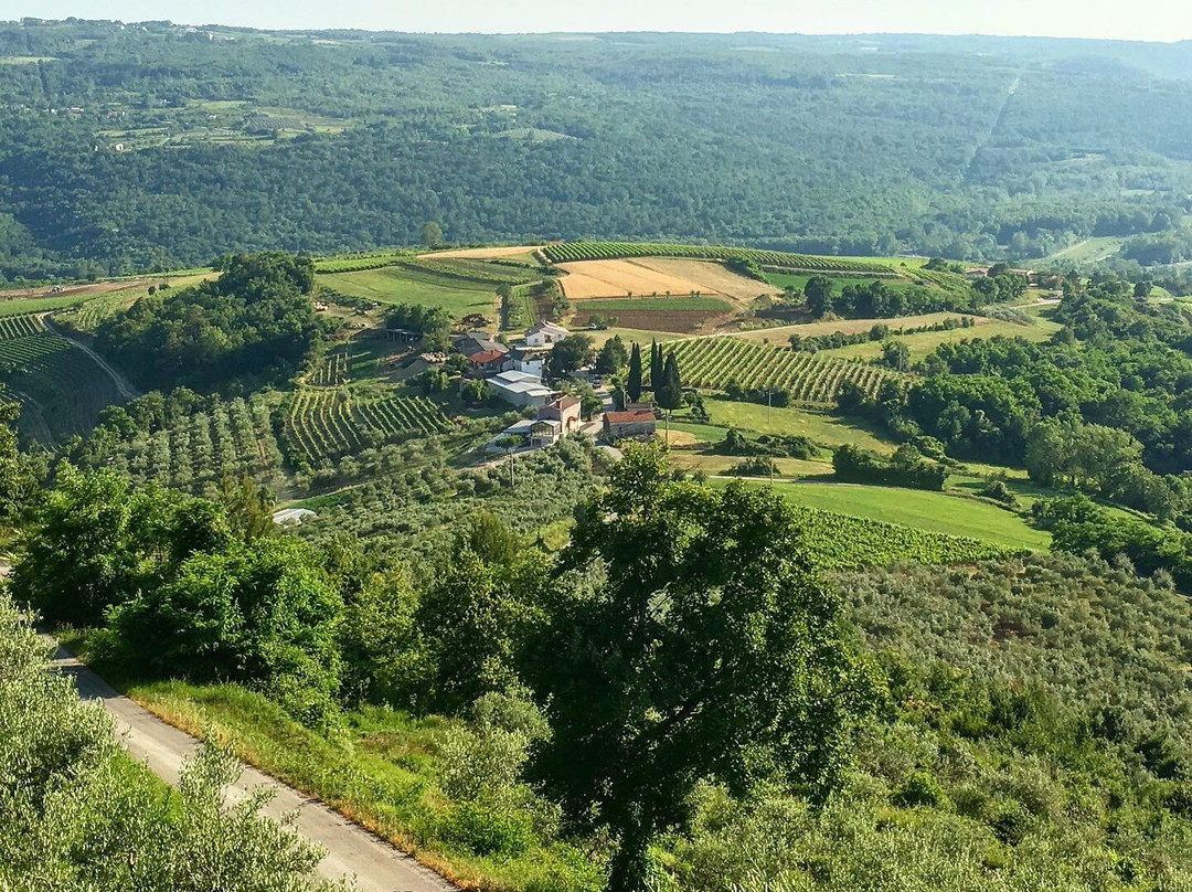 Istria Wine Tours-罗维尼必去景点